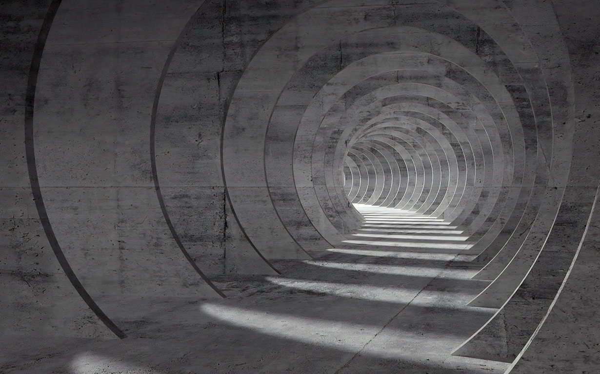 AGAÇLAR VE REKTÖRLER